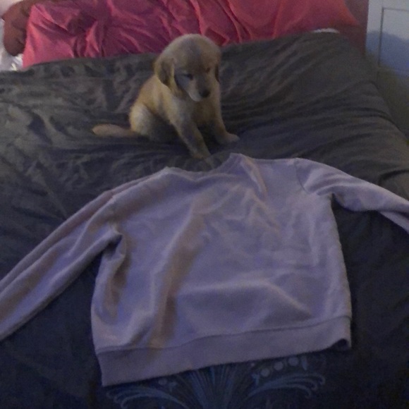 Pink hoodie - Picture 2 of 2